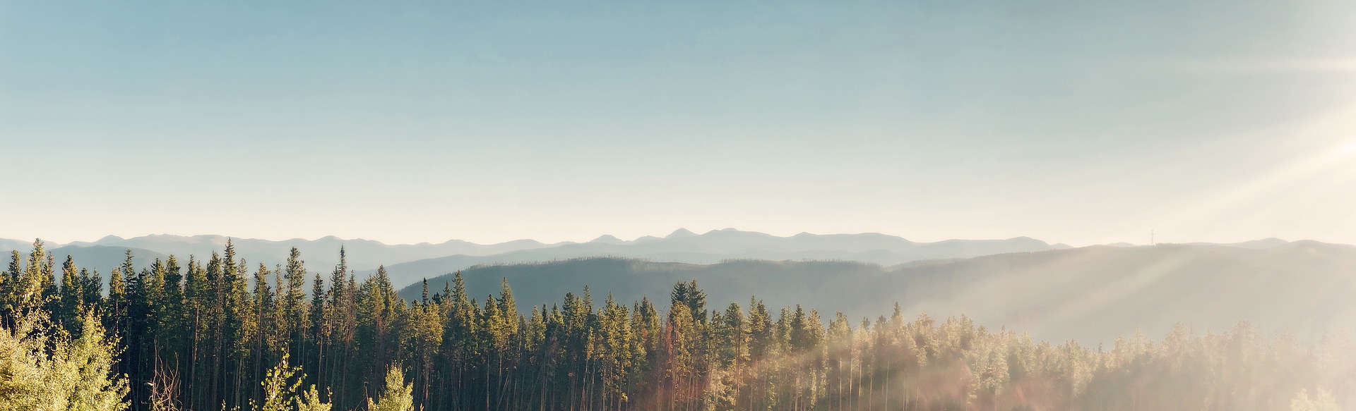 Sunrise in Breckenridge with mountain silhouettes and trees in the foreground