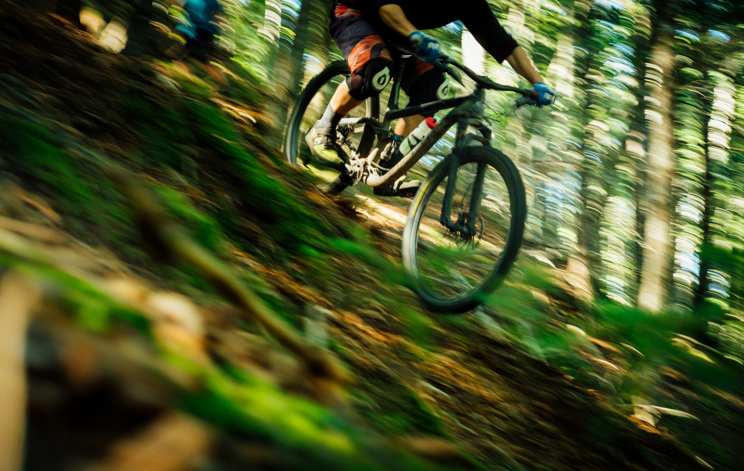 downhill biking through forest